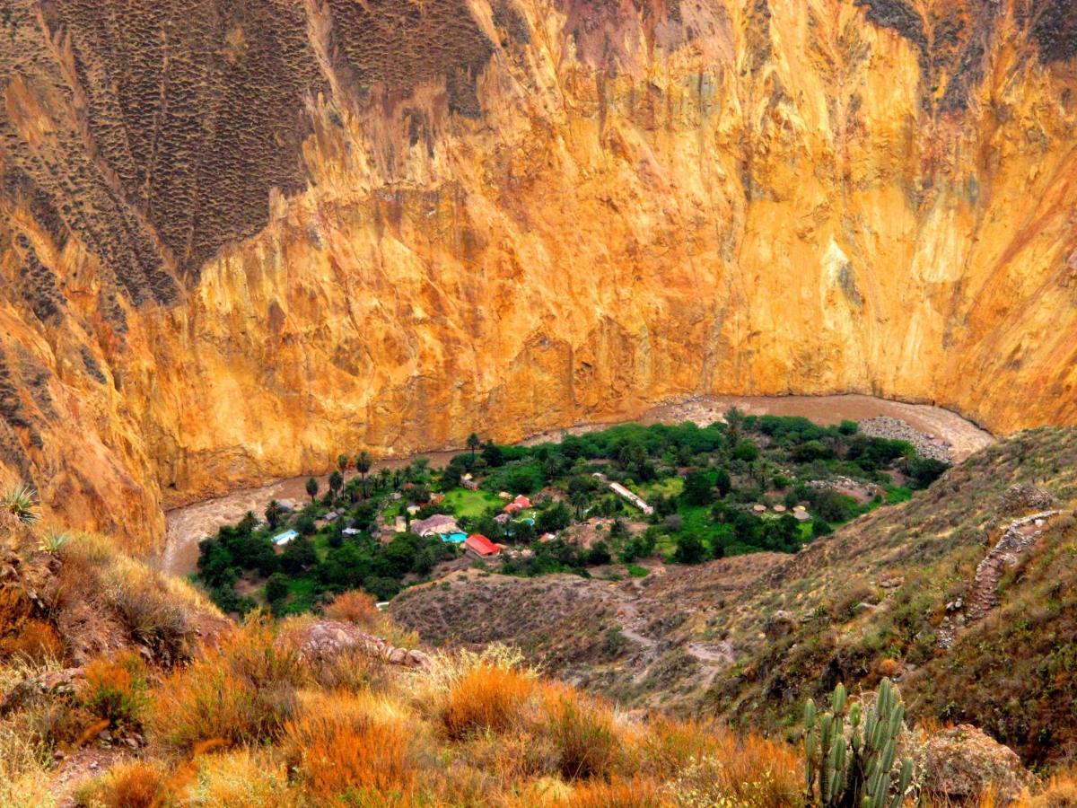 Paraiso Las Palmeras Lodge Cabanaconde Εξωτερικό φωτογραφία