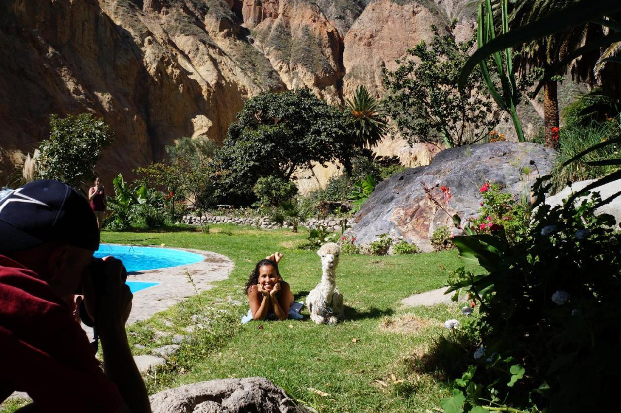 Paraiso Las Palmeras Lodge Cabanaconde Εξωτερικό φωτογραφία