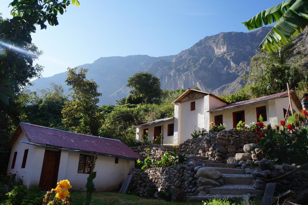 Paraiso Las Palmeras Lodge Cabanaconde Δωμάτιο φωτογραφία