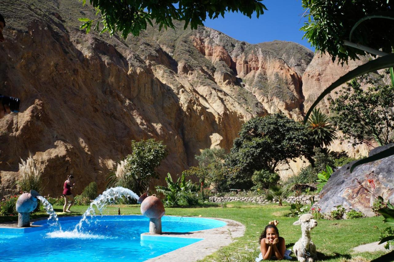 Paraiso Las Palmeras Lodge Cabanaconde Εξωτερικό φωτογραφία