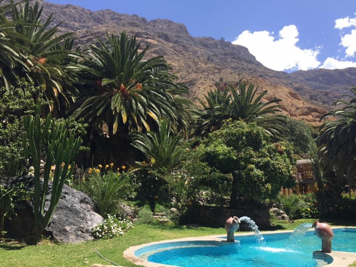 Paraiso Las Palmeras Lodge Cabanaconde Εξωτερικό φωτογραφία