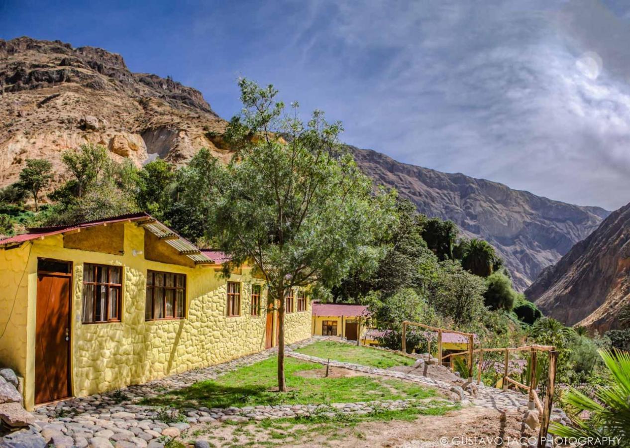 Paraiso Las Palmeras Lodge Cabanaconde Εξωτερικό φωτογραφία