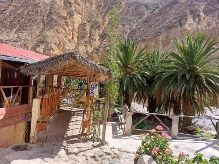 Paraiso Las Palmeras Lodge Cabanaconde Εξωτερικό φωτογραφία
