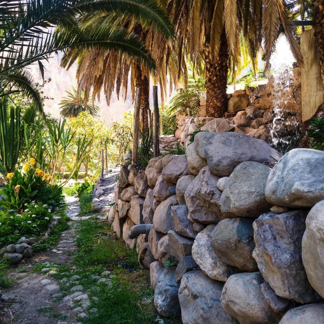 Paraiso Las Palmeras Lodge Cabanaconde Εξωτερικό φωτογραφία
