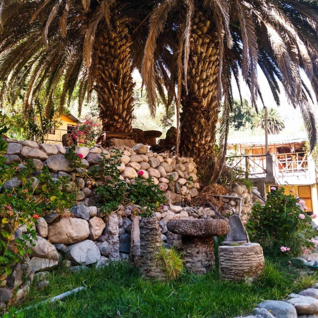 Paraiso Las Palmeras Lodge Cabanaconde Εξωτερικό φωτογραφία